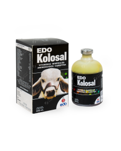 Edo kolosal 100 ml