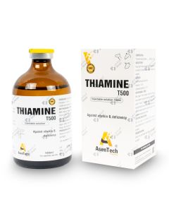 Thiamine 100 ml