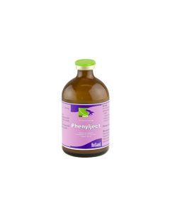 Phenyl Ject Injection 100ml