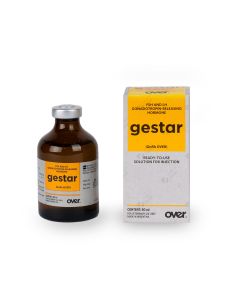 Gestar 50 ml