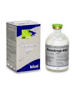 Penstrep 400 - 100 ml