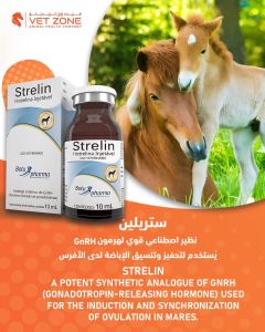 STRELIN