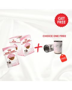 Royal Canin Feline Health Nutrition Kitten Gravy (Wet Food - Pouches) 12 X 85G + one Farma Pet Treats Canned 375g