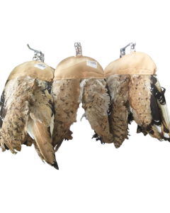 Tilwa Feather