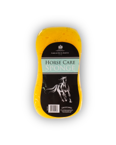 Horse care sponge
