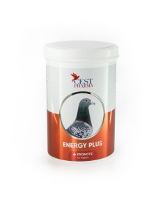 Cest Pharma Energy Plus 600 g