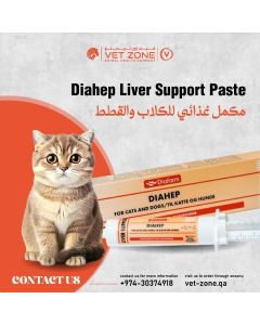 DIAHEP