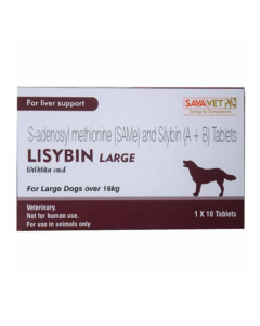 LISYBIN LARGE