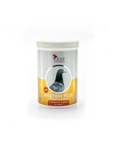 Cest Pharma Protein Plus 600 g