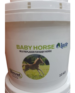 Baby horse milk 10 kg 