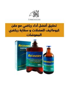 Achieving Optimal Performance For Horses With Chromactiv & Recovery