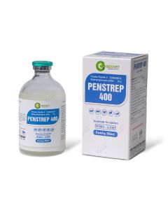PENSTREP 400