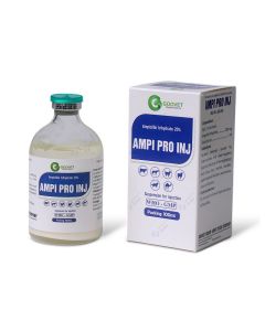 AMPI PRO INJ 