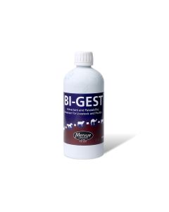 Bi gest oral 500 ml