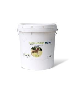 Baby horse milk 10 kg 