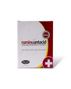 Rumino antacid  390 g