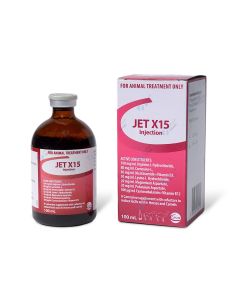 Jet x15 100 ml