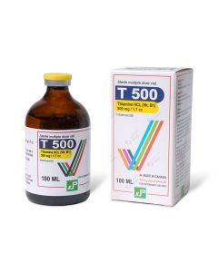 T 500 INJ 100 ML