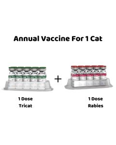 Annual Vaccine For 1 Cat