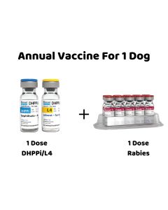 Annual Vaccine For 1 Dog