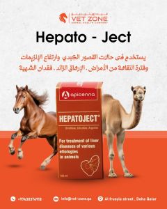 HEPATOJECT
