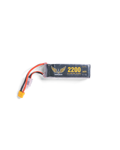 Battery 2200 mAH