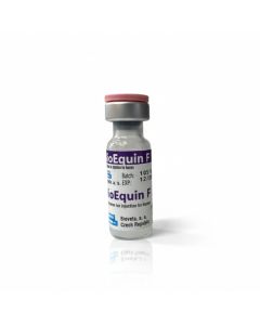 BioEquin F Vaccine - (1 Dose)