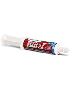 Blitz Paste Original Formula For Horses 80CC
