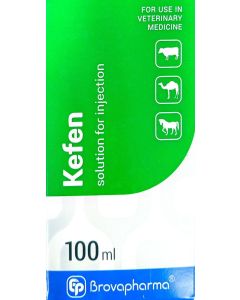 KEFEN
