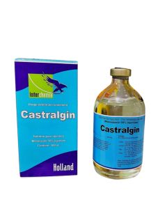 CASTRALGIN 100ML