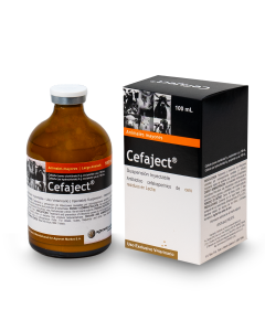 Cefaject 100 ml