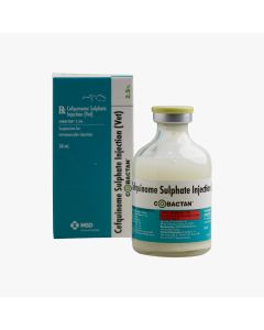Cefquinome sulphate injection 50 ml