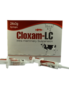 Cloxam LC IMM Susp 3 g  