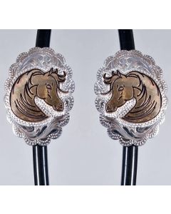 Conchos - Arab head