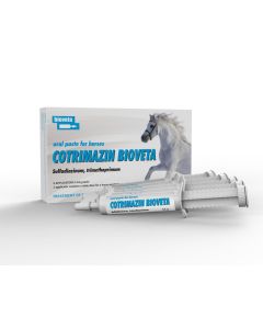 Cotrimazin Bioveta Oral Paste - (1 Paste)