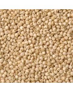 White soybean