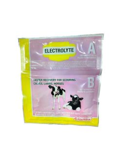ELECTROLYTE AB