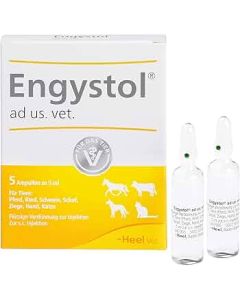 Engystol® Ad Us. Vet. (Injection Solution 5Ml) - 1 Ampoule