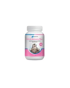 Falcon Recovery Plus (100 g)