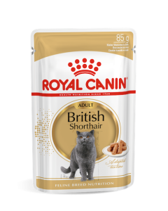  Royal canin feline Adult British Shorthair Pouch