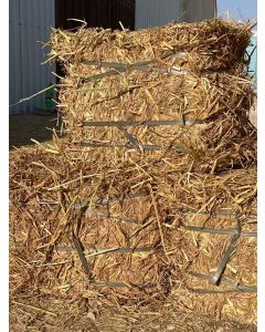 Pakistani Hay bread 