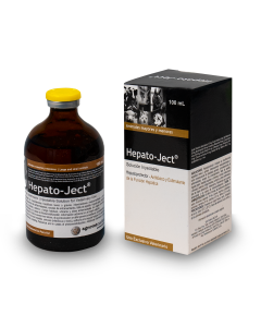 Hepato ject 100 ml