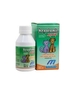 Hepatomic syrup 100 ml