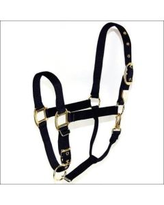 Foal Halter With brass eyelets