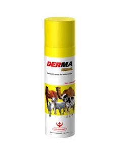 Derma