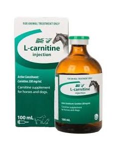 L - Carnitine inj 100 ml