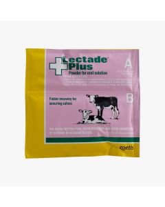 Lectade plus 100 g