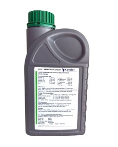 LOVIT AMINO PLUS LIQUID