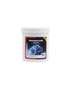 Magnitude powder 1 kg