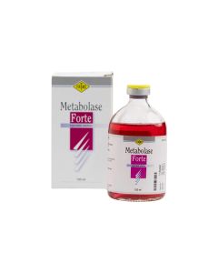 Metabolase forte 100 ml